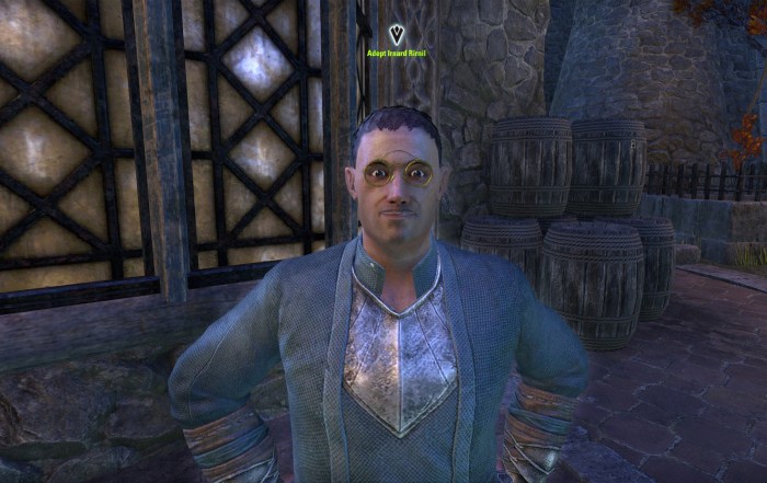 Adept Irnard Rirnil, Scribing Quest Starter in Skingrad Gold Road