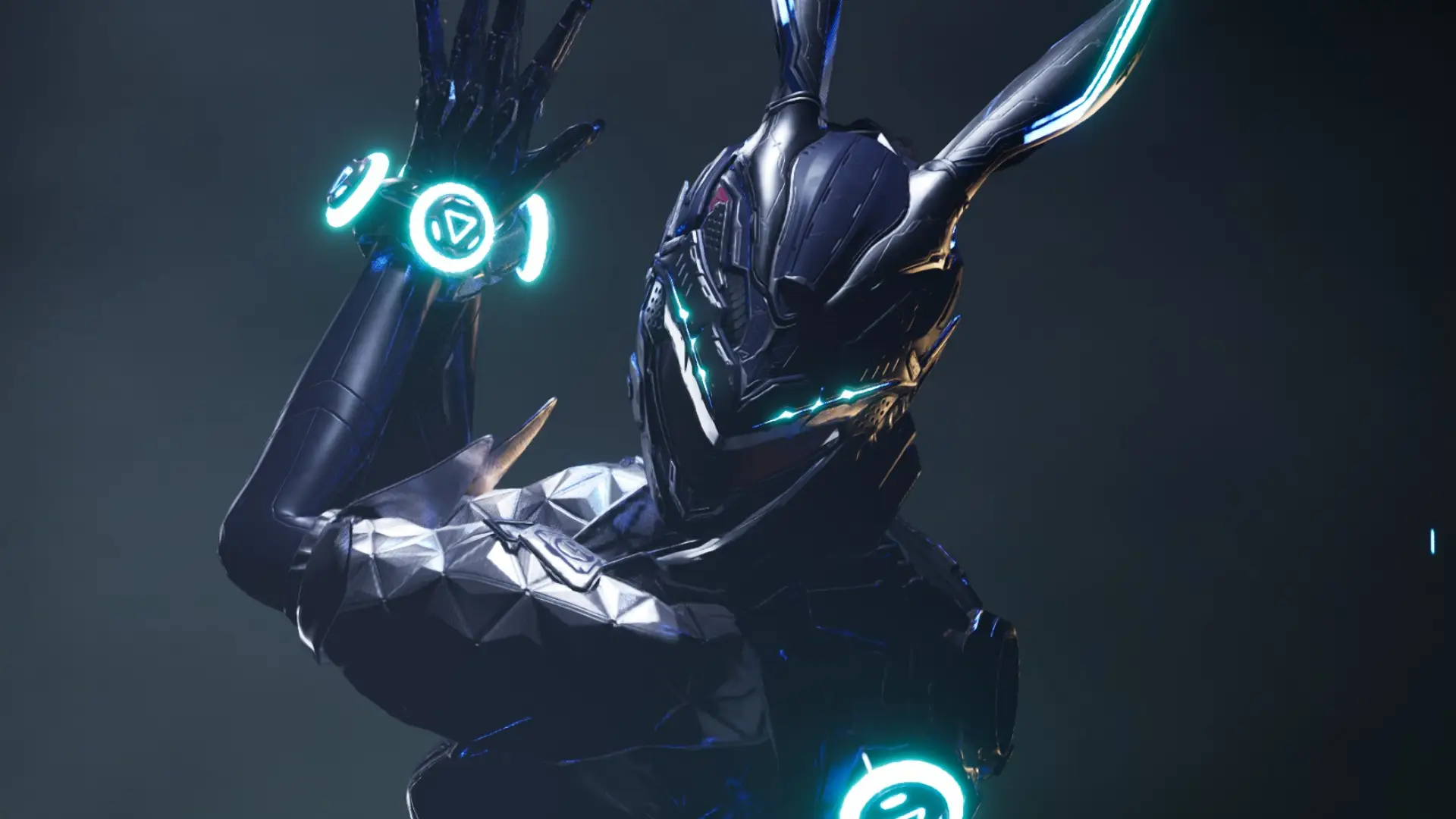 Best Bunny Build Guide TFD