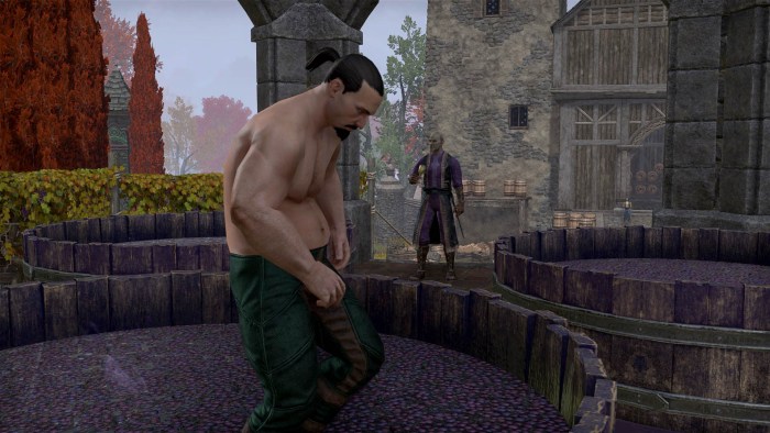 ESO How to complete the Wine and Warriors Achievement