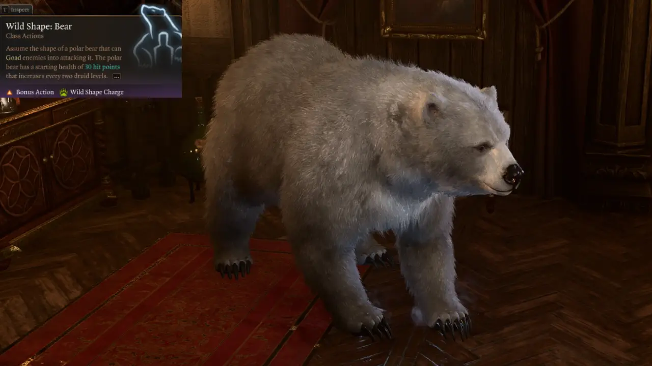BG3 Druid Build Bear Wild Shape Form