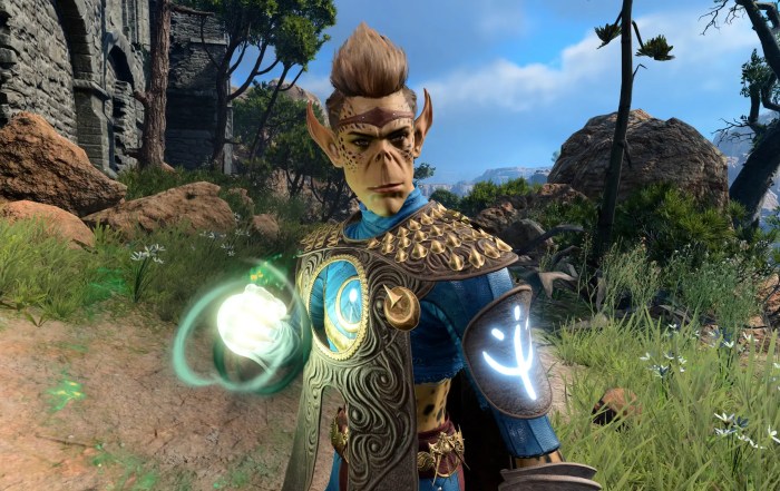 BG3 Best Monk Build Way of Shadow