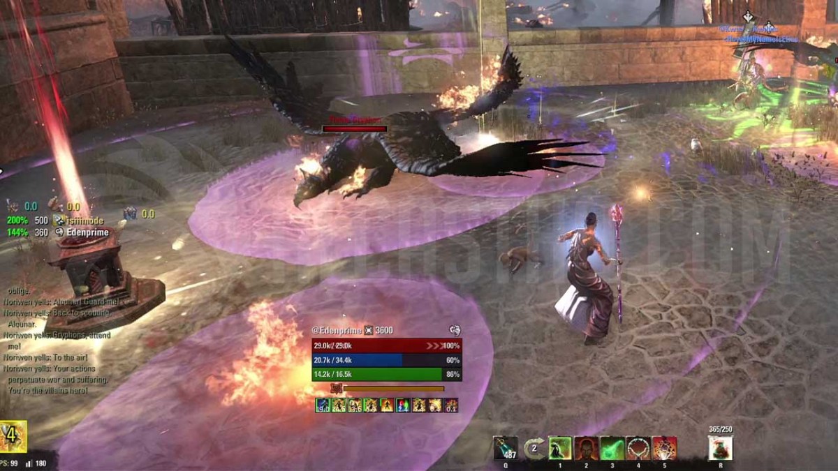 ESO Noriwen Flame Gryphon - Taking Flight