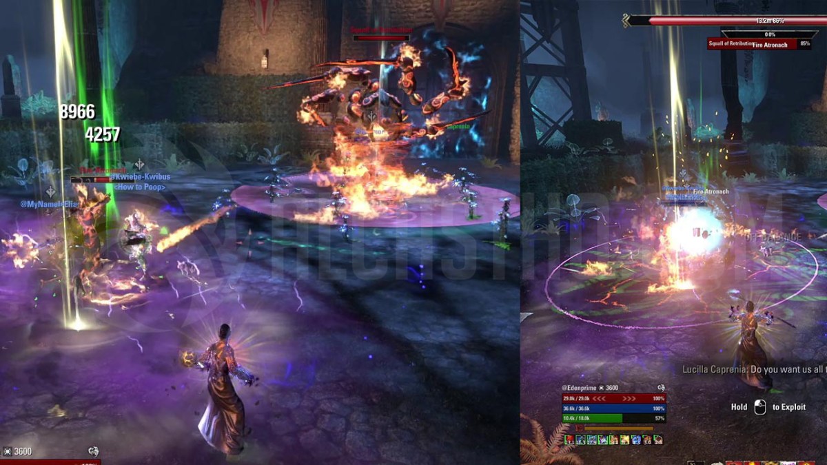 ESO Squall of Retribution Vortex - Hot Foot