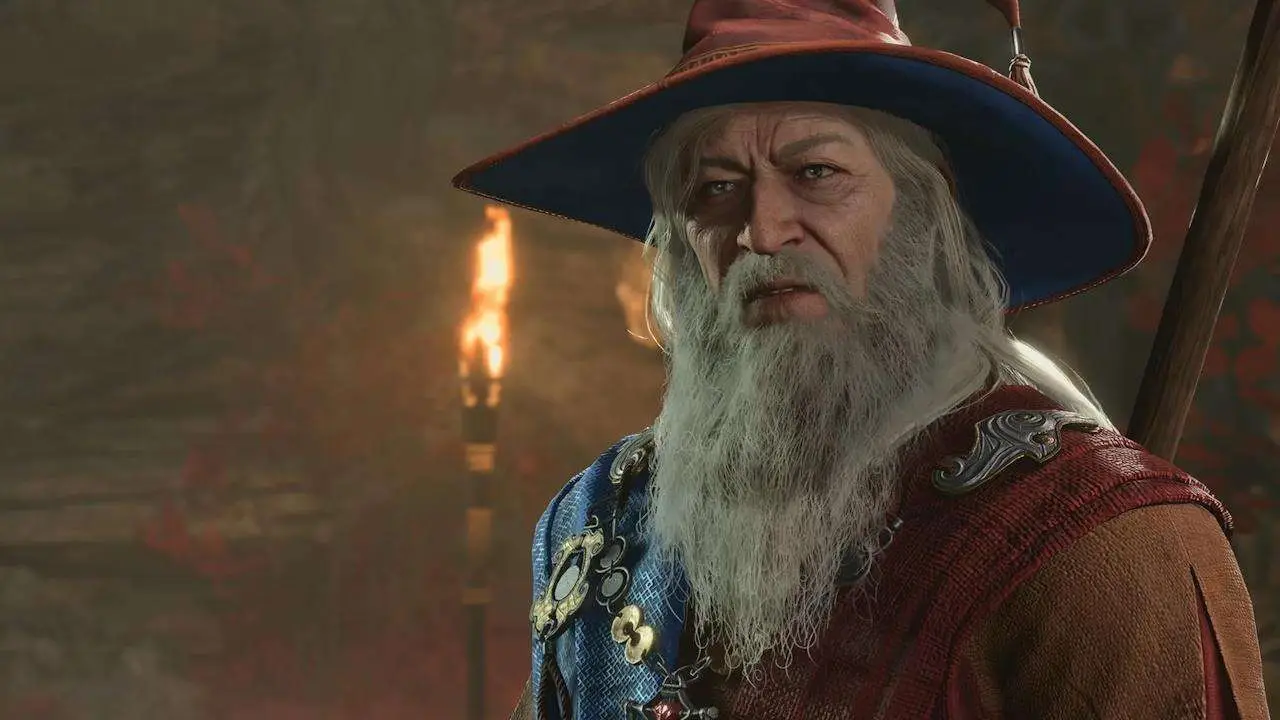 bg3 wizard