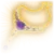 broodmother's revenge icon bg3