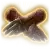 gloves of thievery icon bg3