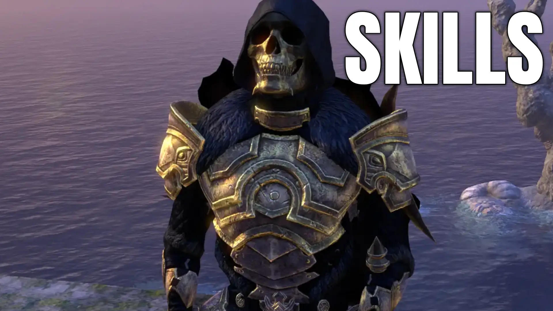 ESO Dragonknight Subclasses Build Tank Best Skills