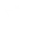 Suspicious and Insight icon Nell TFD