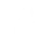 white dragonborn icon bg3