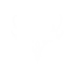 wood elf icon bg3