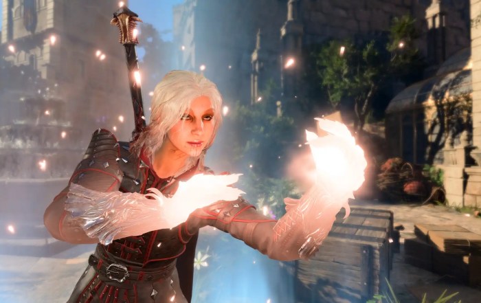 BG3 Martial Bruiser Multiclass Build