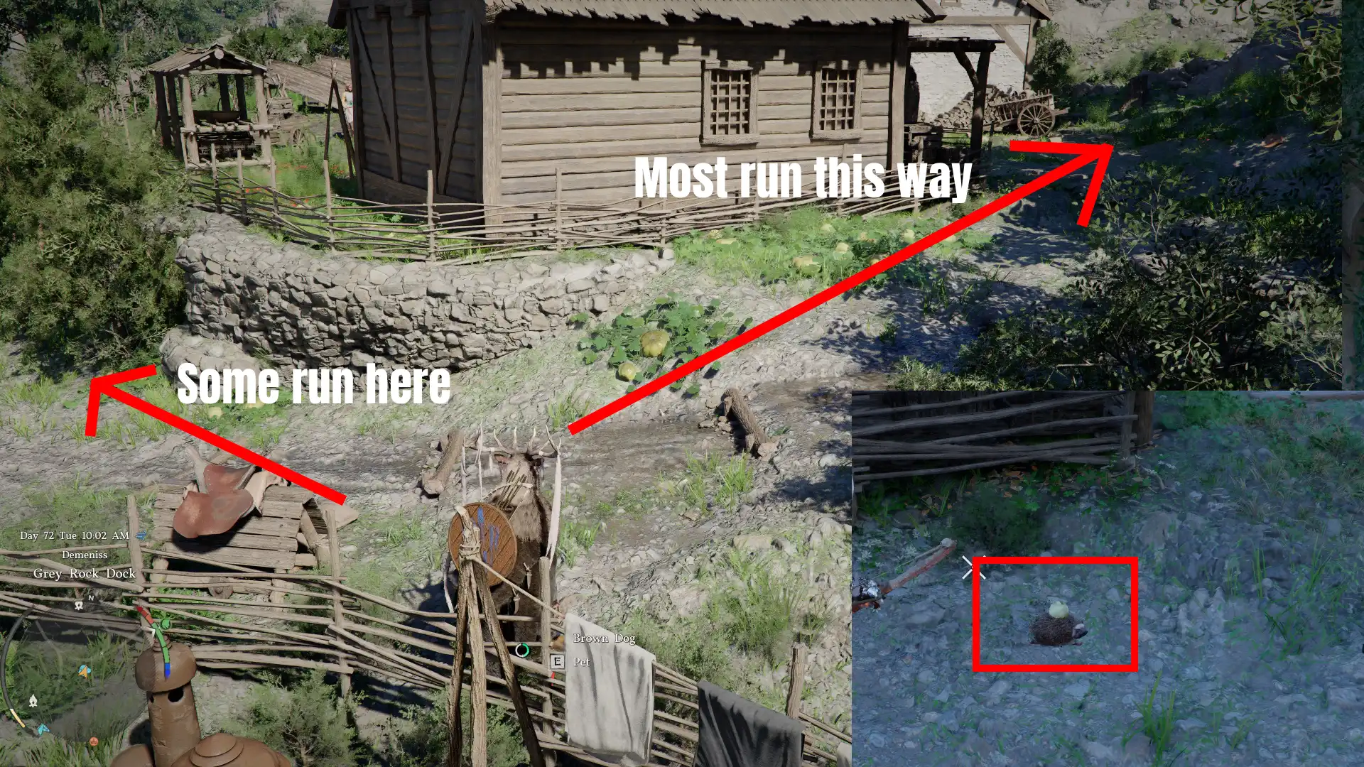 Crimson Desert Golden Apple Hedgehog Spawn