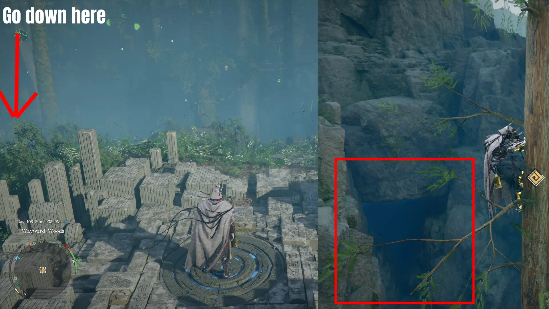 Wild GInseng Longroots Pailune Crimson Desert