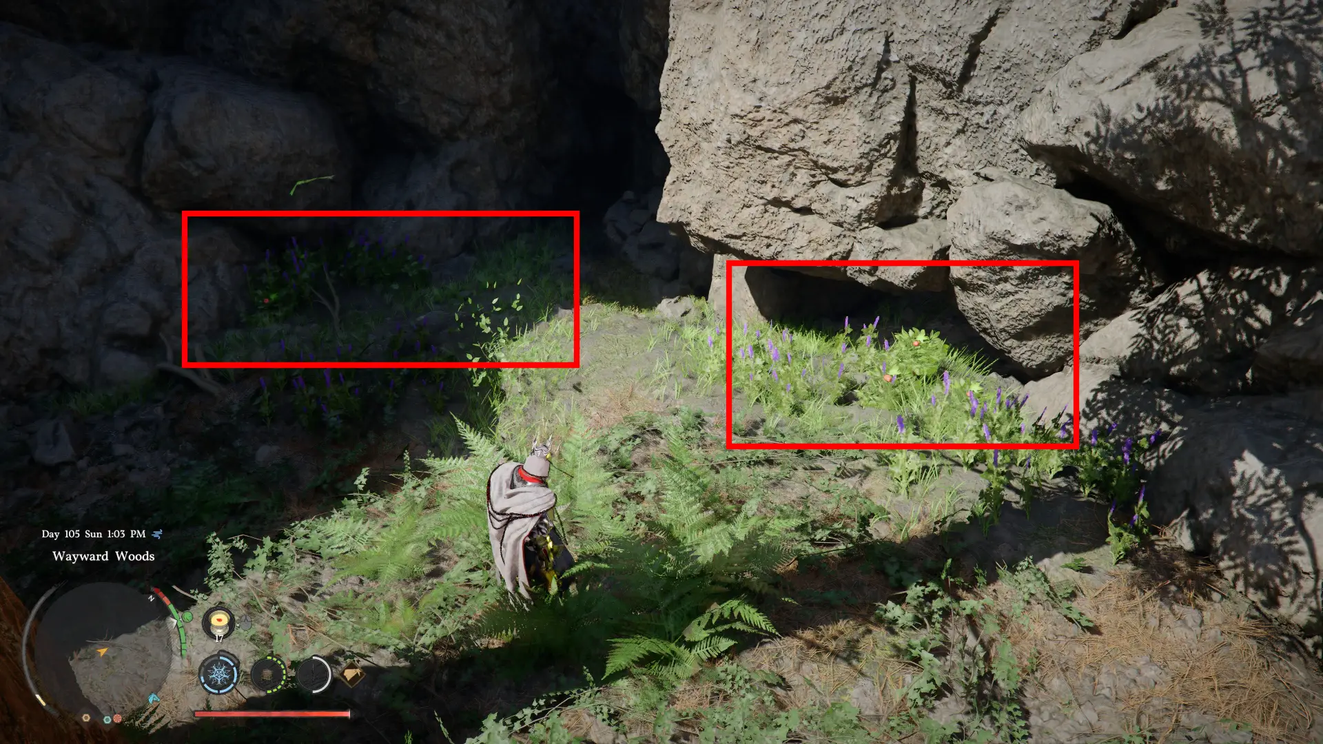 Wild Ginseng Exact Location Crimson Desert