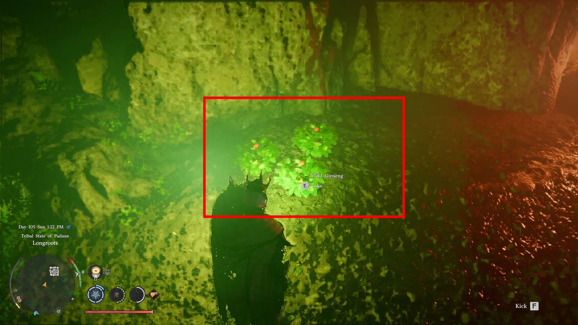 Wild Ginseng inside cave Crimson Desert