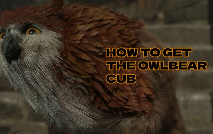BG3 How to Get the Owlbear Cub Guide