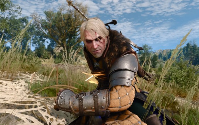 Witcher 3 Bear Tank Build