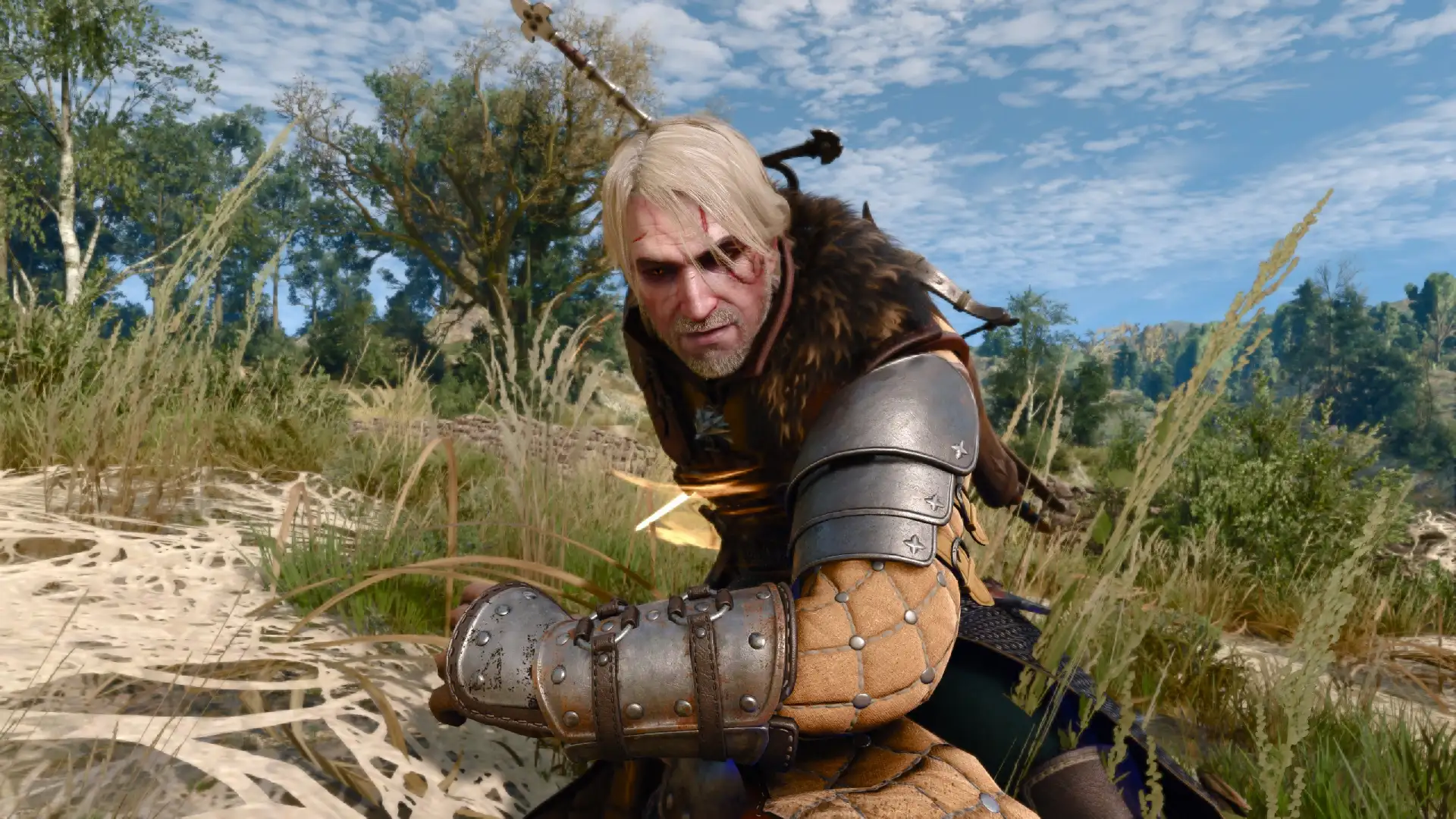 Witcher 3 Bear Tank Build