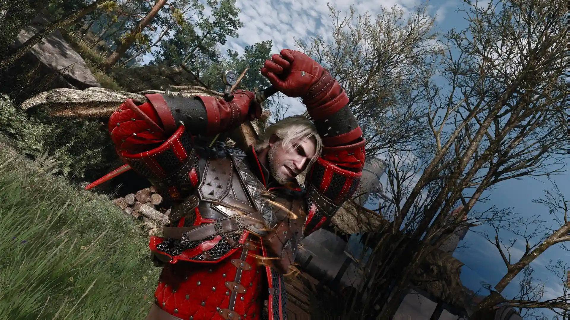 Witcher 3 Best Bleed Build