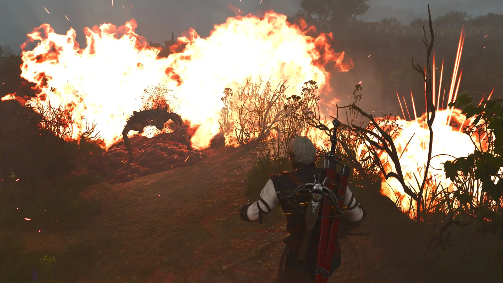 Witcher 3 Bomb Build Guide