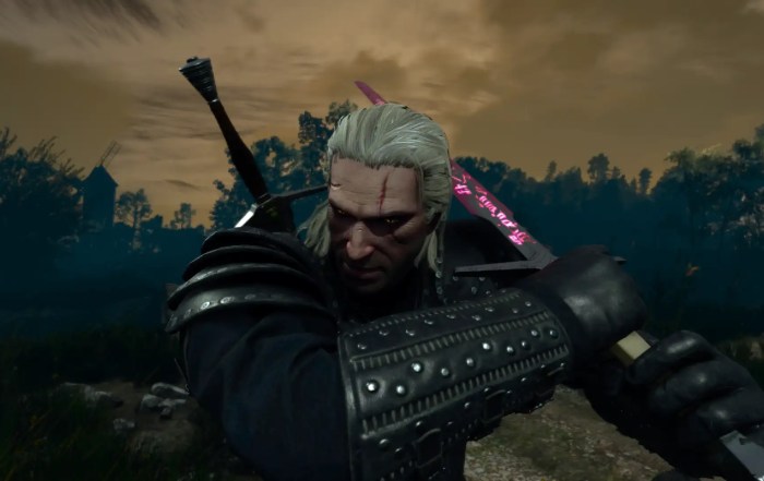 Witcher 3 Forgotten Wolven Armour Build